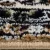 Tebriz 6447 bézs 60x100cm-klasszikus szőnyeg 