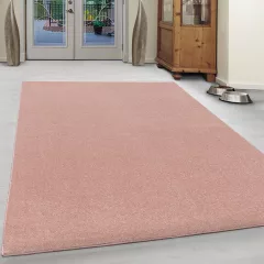 ATA ROSE 200 X 290