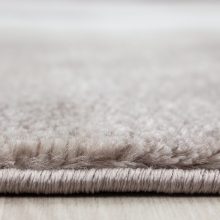 PARMA 9310 BARNA 200 X 290