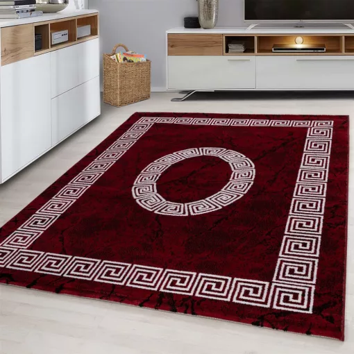 PLUS 8009 PIROS 120 X 170