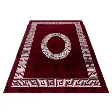 PLUS 8009 PIROS 120 X 170