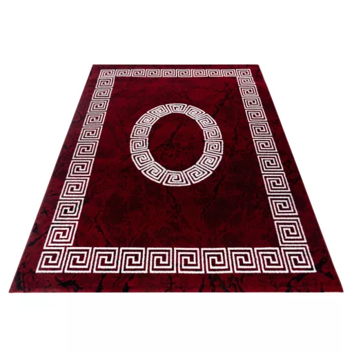 PLUS 8009 PIROS 120 X 170