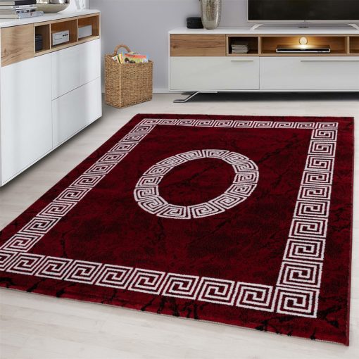 PLUS 8009 PIROS 160 X 230