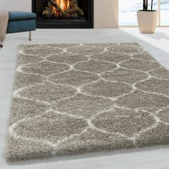 SALSA BÉZS 120 X 170