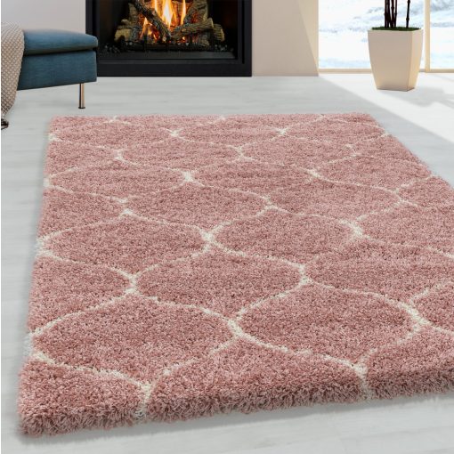 SALSA ROSE 160 X 230