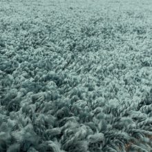 SYDNEY AQUA 200 x 200-kör