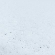 SYDNEY FEHÉR 80 X 150